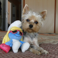 Photo #270836 de MAGY