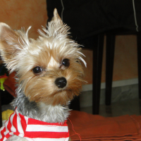 Photo #270837 de MAGY