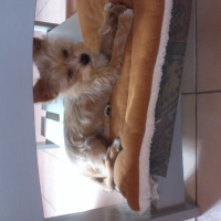 Photo #270876 de Loggy 