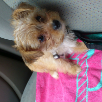 Photo #270877 de Loggy 
