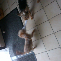 Photo #270878 de Loggy 
