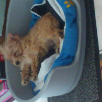 Photo #270879 de Loggy 
