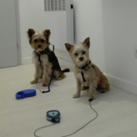 Photo #270881 de Loggy 