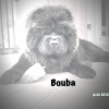 Bouba aout 2015
