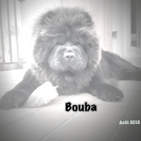 Photo #270882 de Bouba