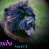 Bouba aout 2015