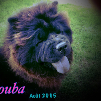 Bouba aout 2015