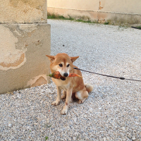 Photo #270932 de Van Tylo