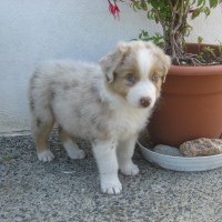 Photo #270936 de EVORA