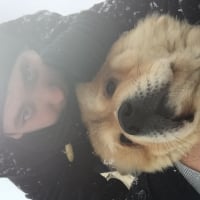 Sous la neige mon maître me sort et on fait les fou