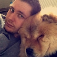Arrête les photo roo