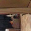 Photo #271166 de Eliot