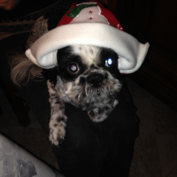 Photo #271185 de filou