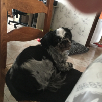 Photo #271186 de filou