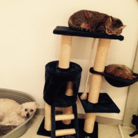 Photo #271337 de Fify