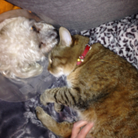 Photo #271340 de Fify