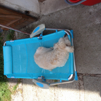 Photo #271341 de Fify