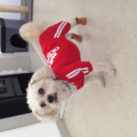 Photo #271342 de Fify