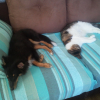 l'heure de la sieste avec Galina