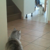 2 contre une !