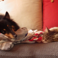 Photo #271412 de Hugo