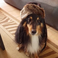 Photo #271413 de Hugo