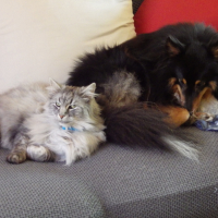 Photo #271414 de Hugo
