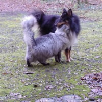 Photo #271415 de Hugo