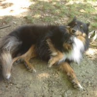 Photo #271416 de Hugo