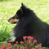 Photo #271417 de Hugo