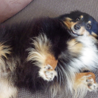 Photo #271418 de Hugo