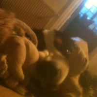 Photo #271431 de Yepa Giulia