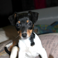 Photo #271442 de Happy