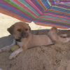 Moi sur la plage avec ma balle