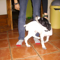 Photo #271508 de Bilbo