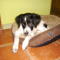 Photo #271509 de Bilbo