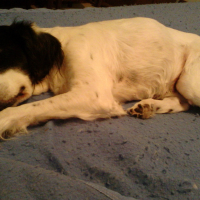 Photo #271531 de zoé