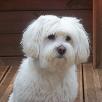 Photo #271554 de Jordy