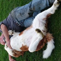 Photo #271594 de GAYA 