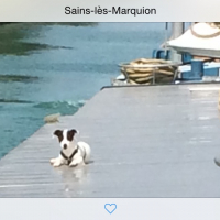 Photo #271761 de Ivy
