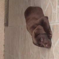 Photo #271781 de Mila