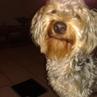 Photo #271790 de locky