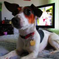 Photo #271797 de Lena