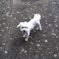 Photo #271798 de Ladylou