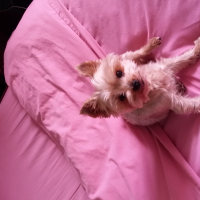 Photo #271811 de Tina