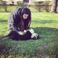 Photo #271819 de Atchoum