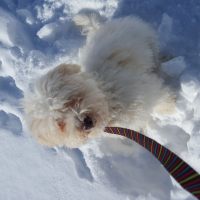 Photo #271847 de Looky