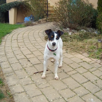 Photo #271940 de MOLLY