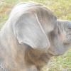 I'Eros le beau-gosse !!