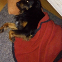 Photo #272013 de Moka